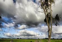 企业邮箱下载,263企业邮箱下载